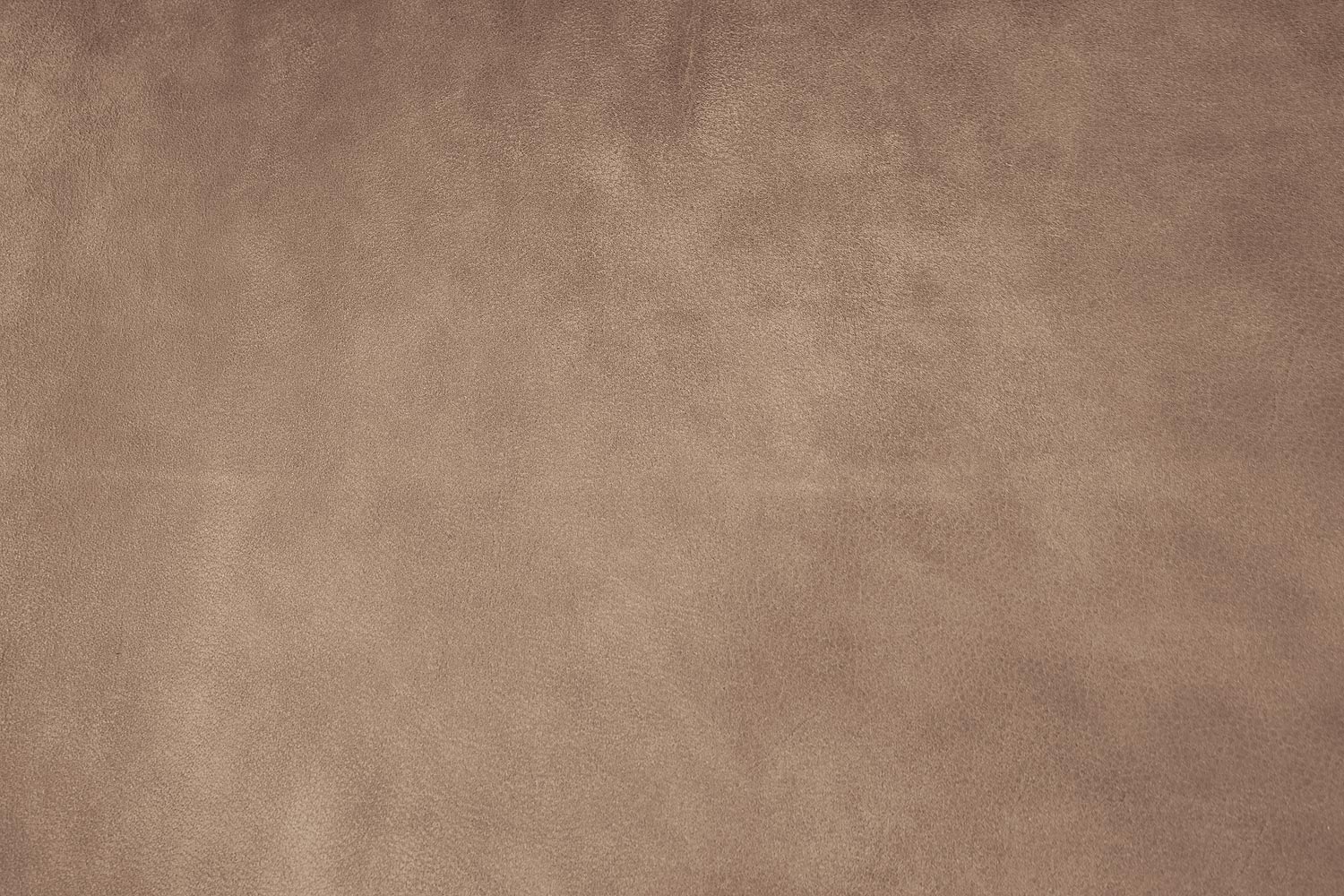 8210541-09