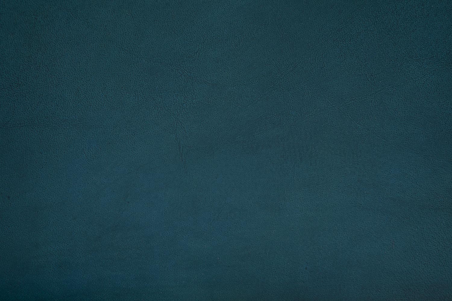 8190170-09