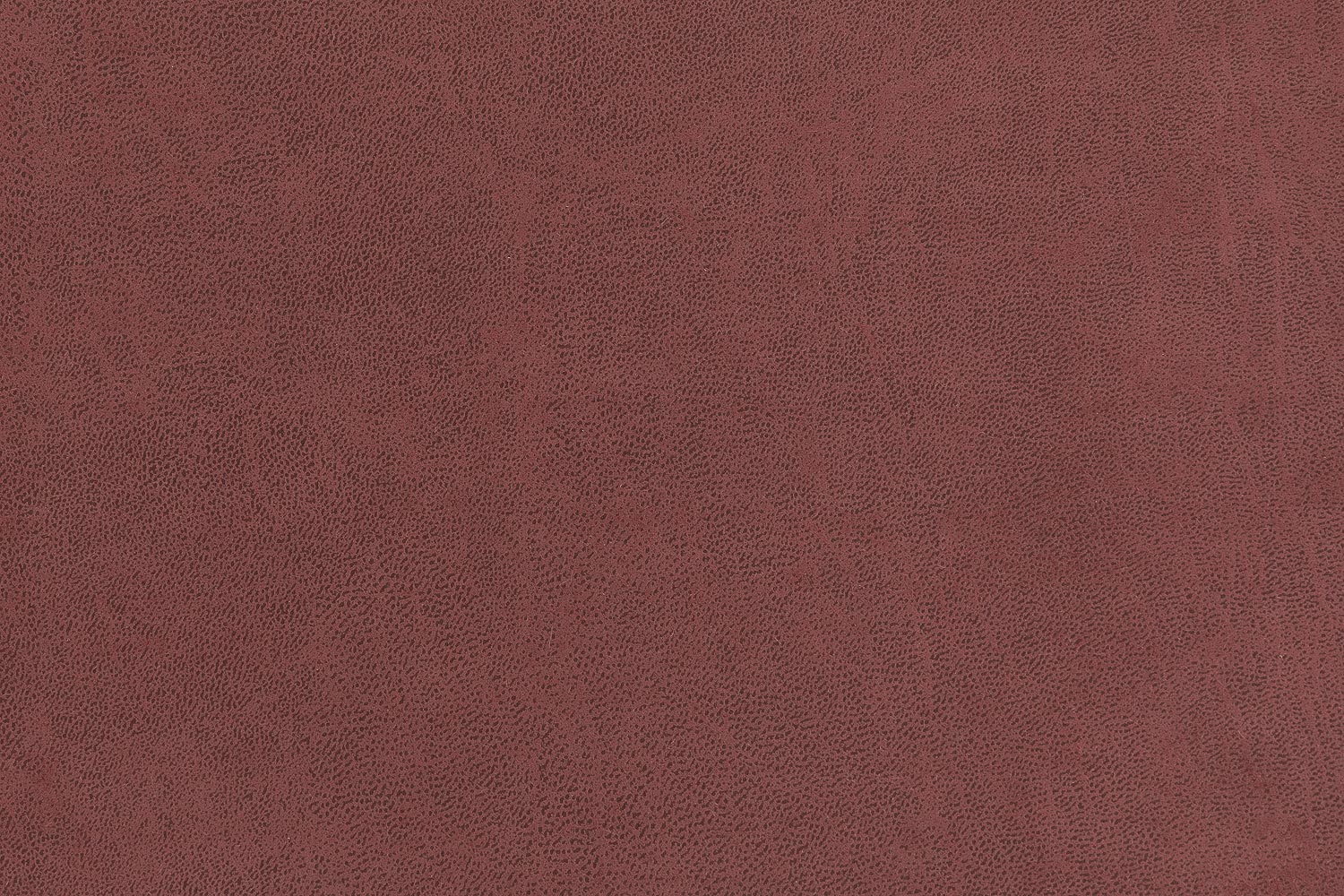 8215244-09
