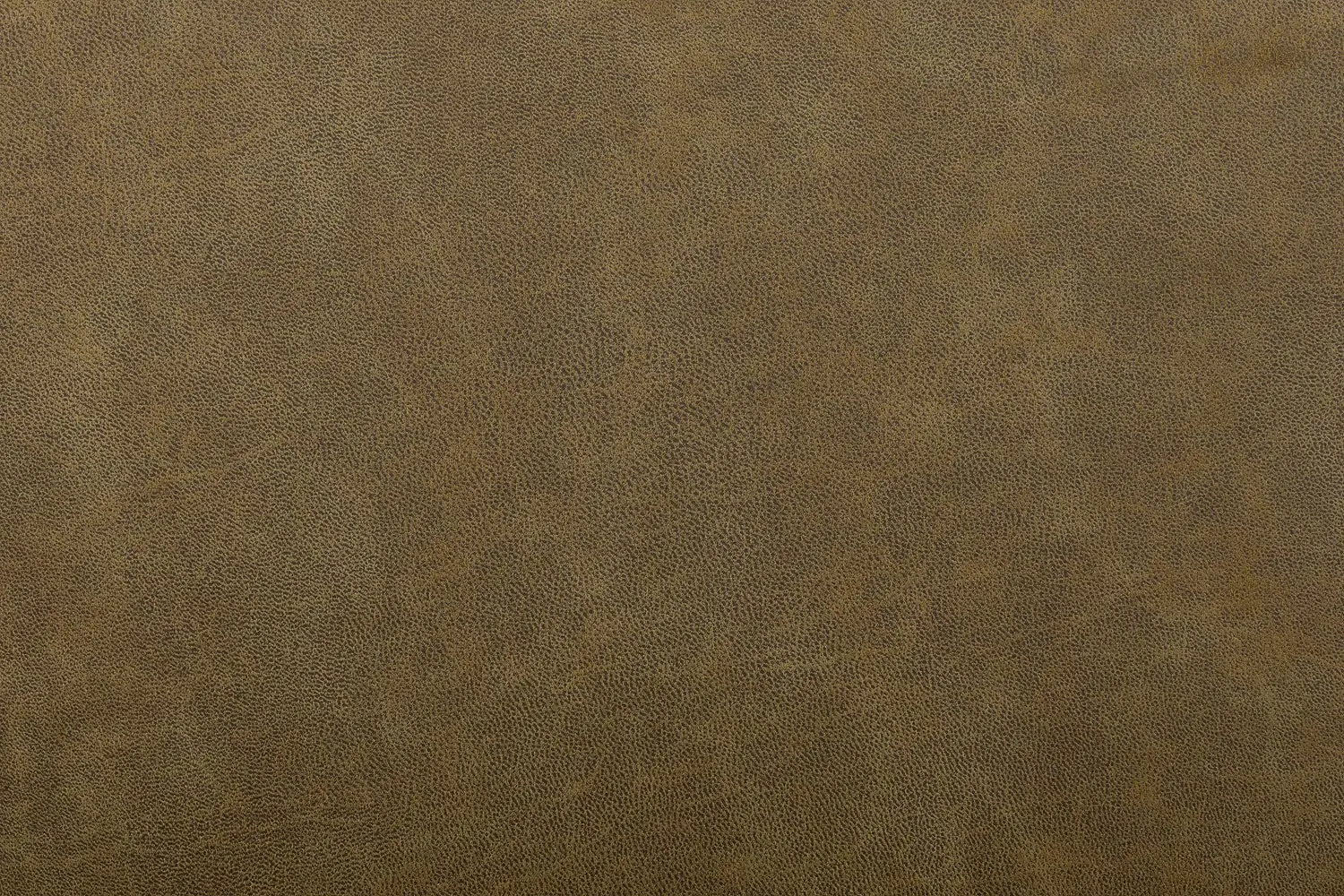 8215263-09