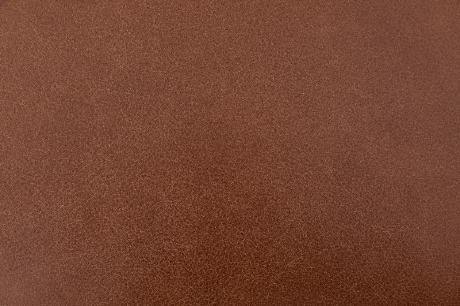 8196116-11
