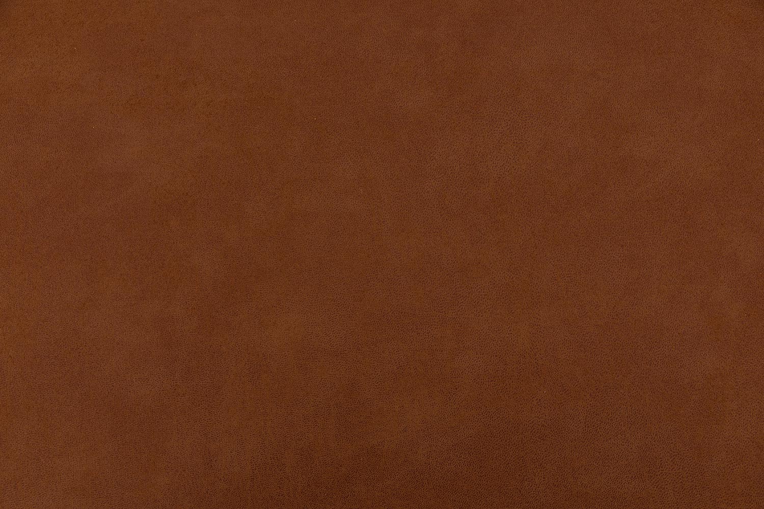 8210616-07