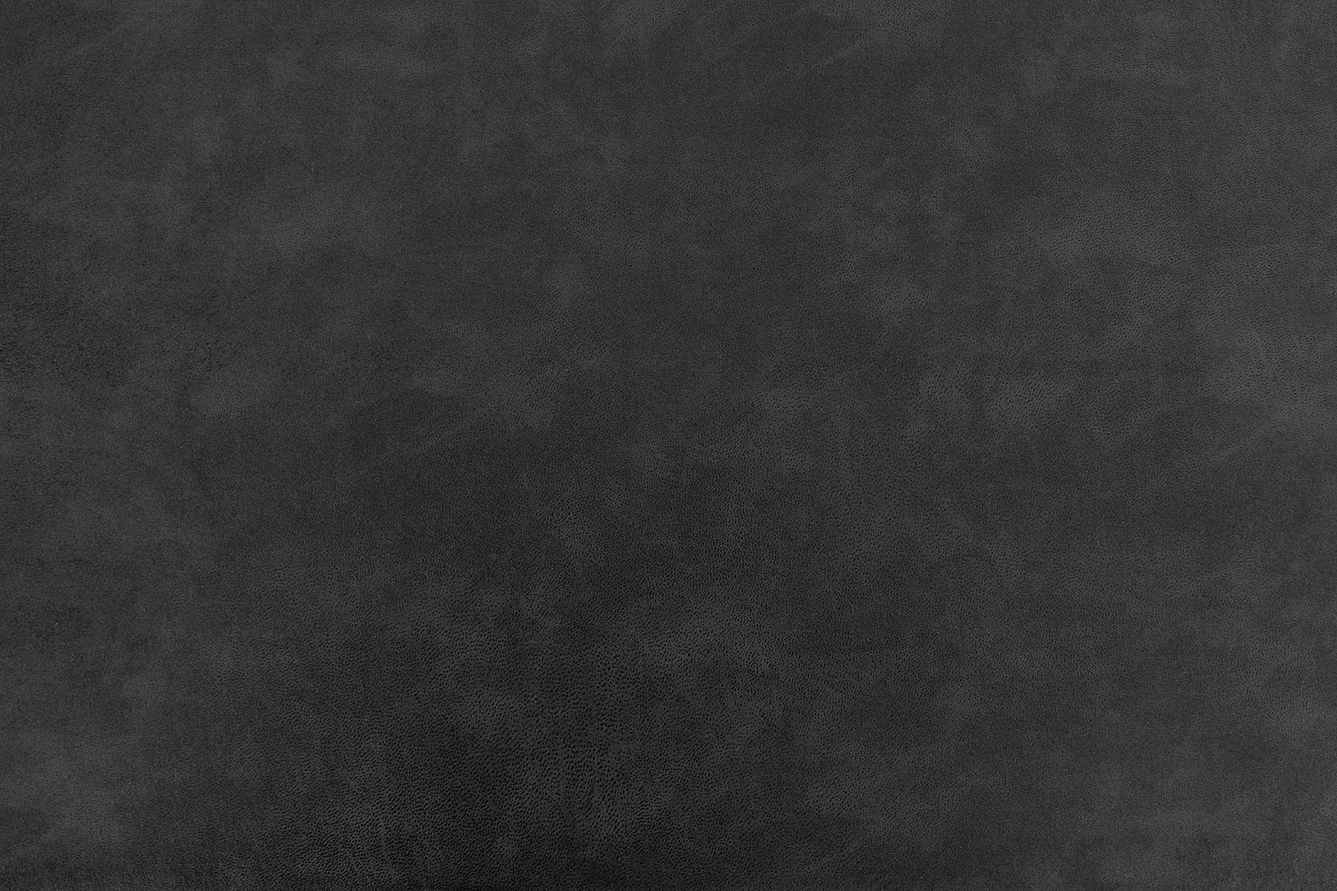 8195956-07