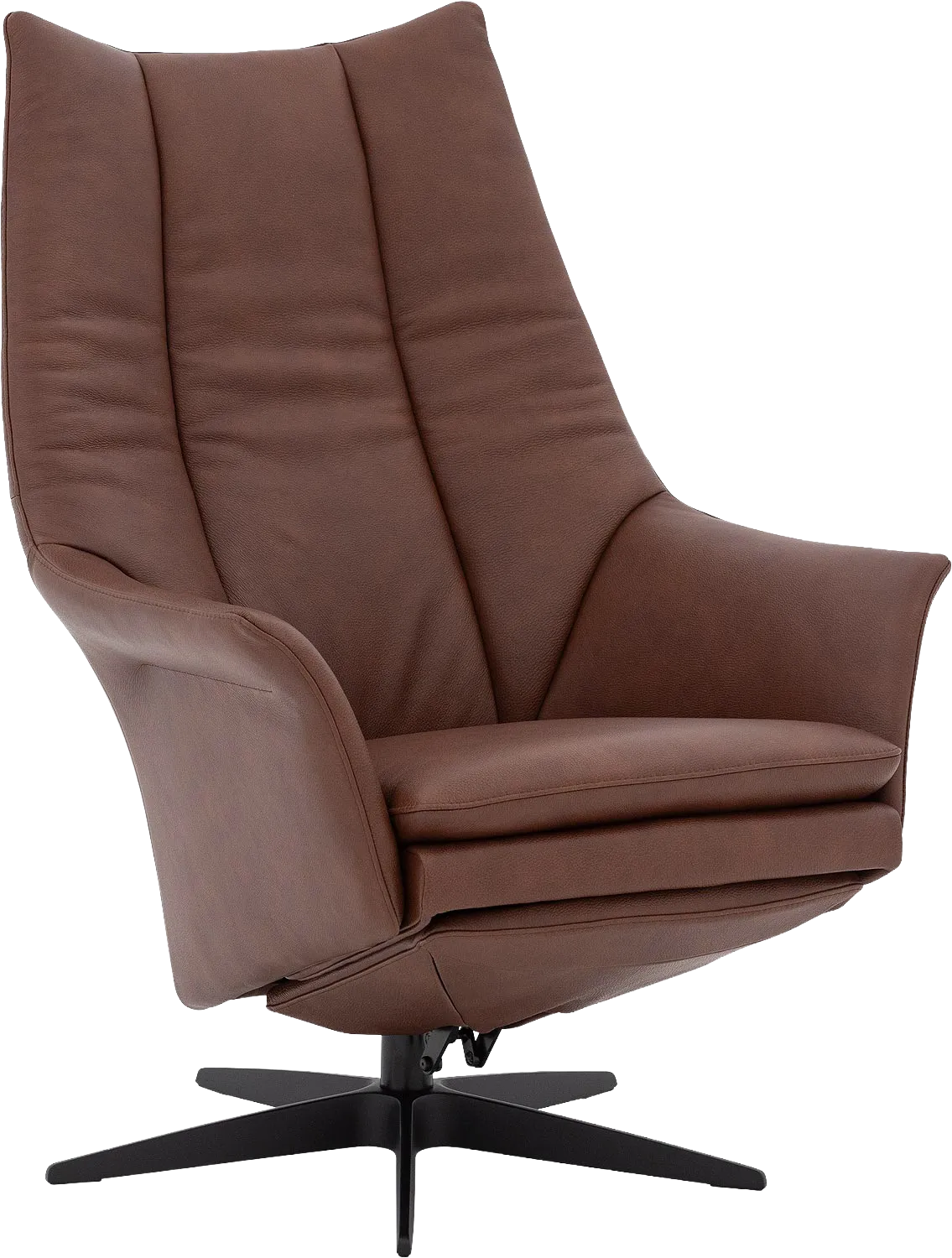 Goossens Excellent Richard Fauteuil Leer - 8252868-goossens-excellent-richard-fauteuil-leer-01