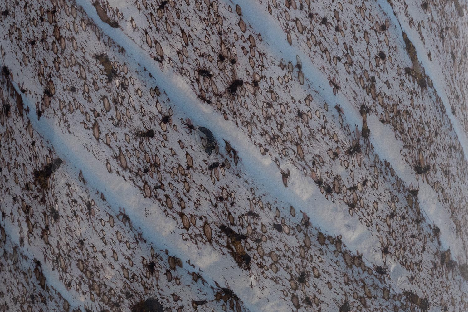 Goossens Jorgen Woon Accessoires Glas - 8243346-goossens-jorgen-woon-accessoires-glas-06